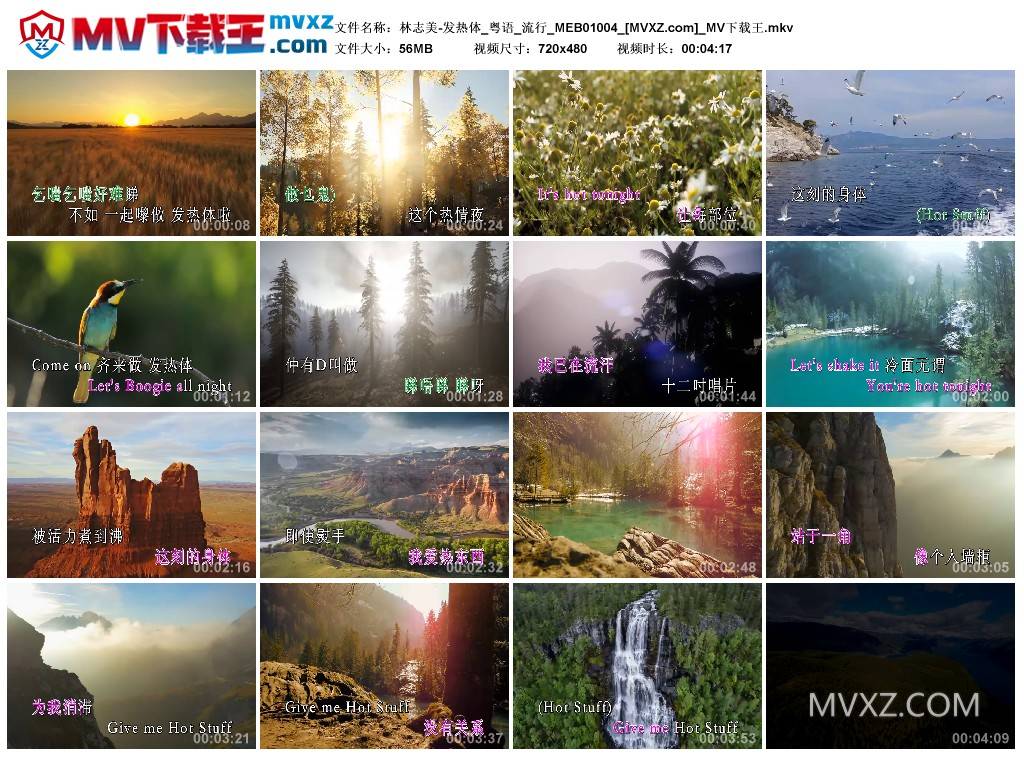 林志美-发热体_粤语_流行_MEB01004